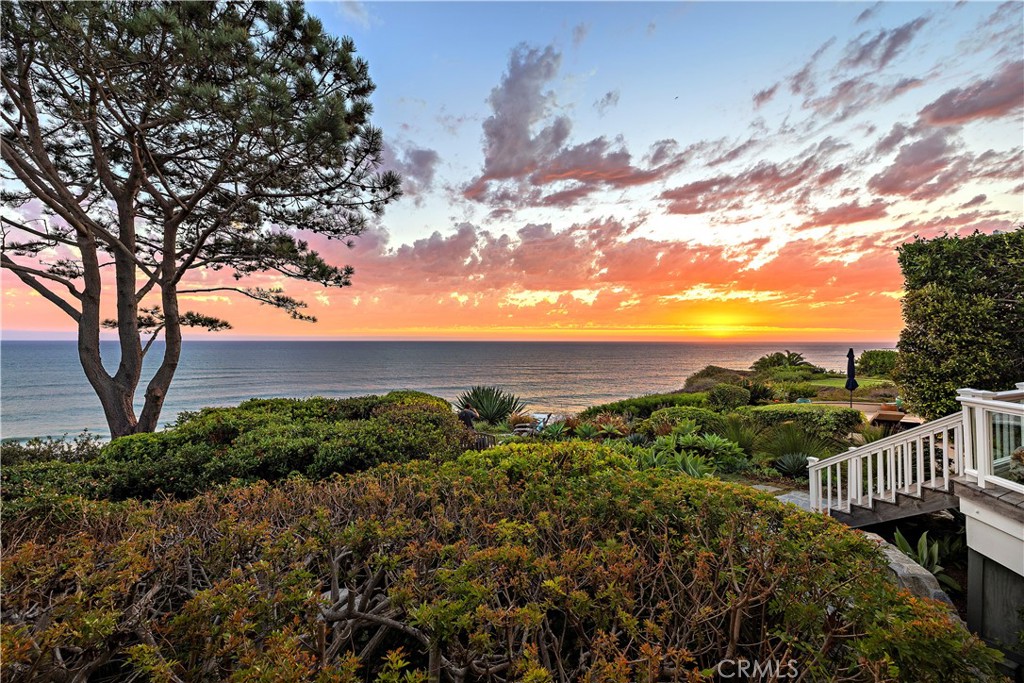 35031 Camino Capistrano