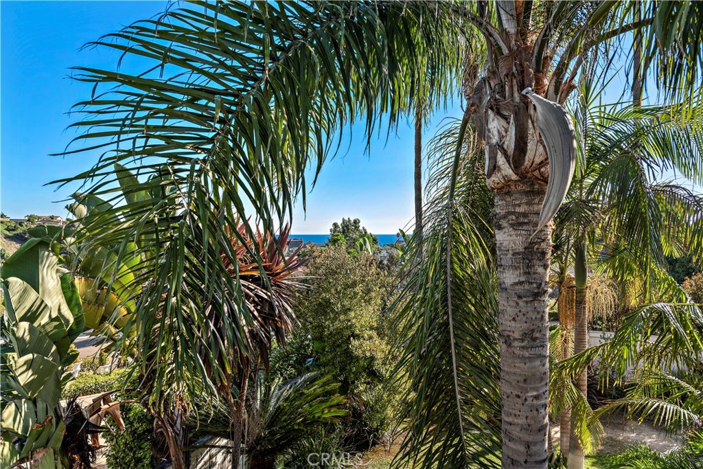 33892 Calle Borrego