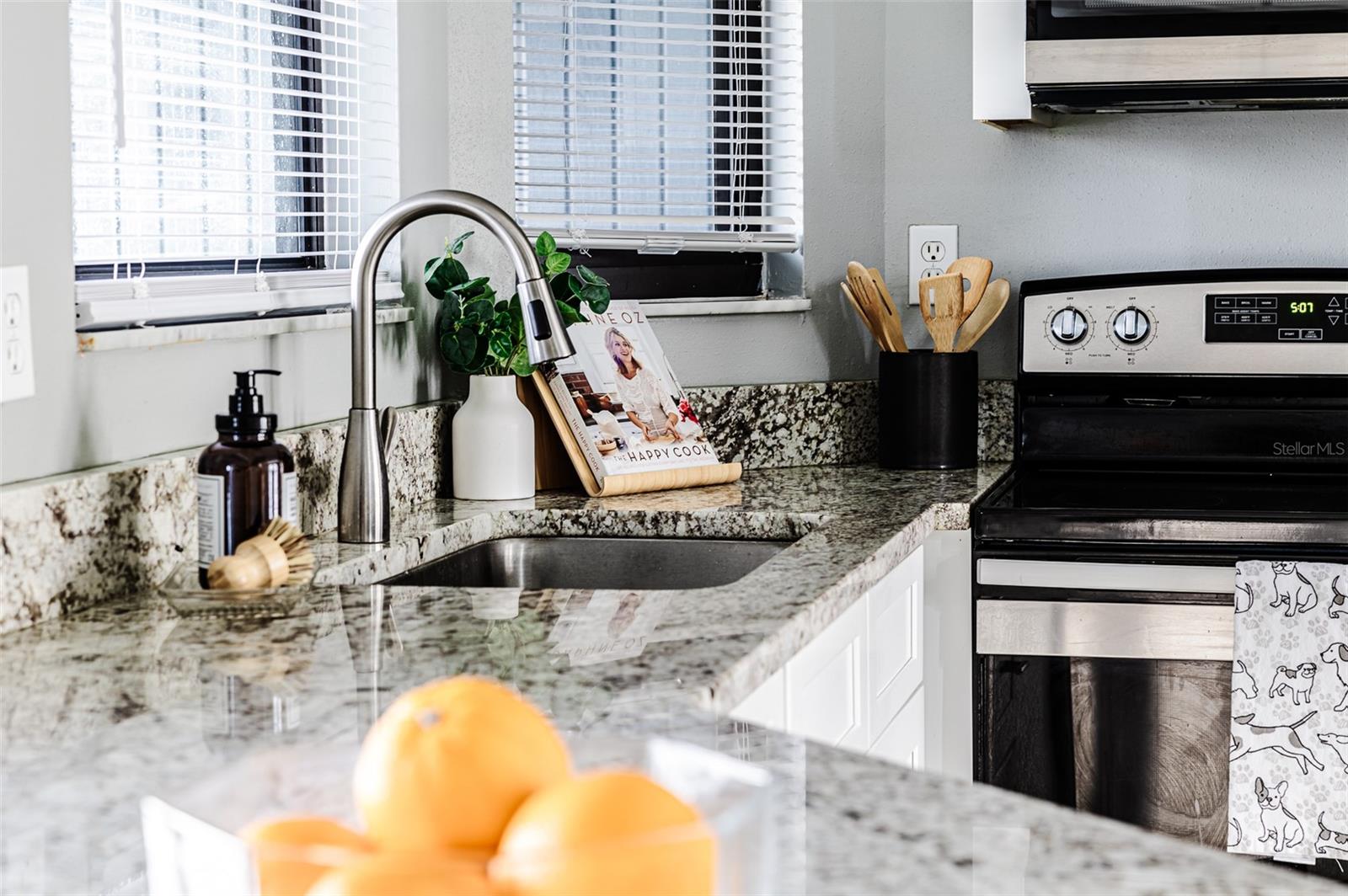 222 CARPENTERS WAY #10