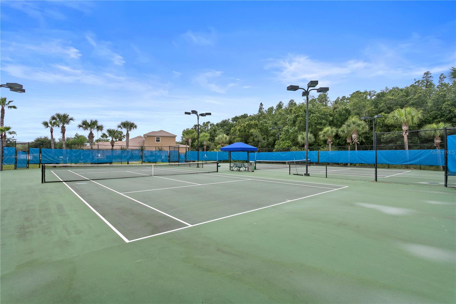 20352 CHESTNUT GROVE DR