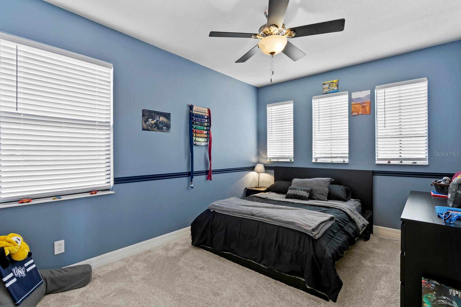 20352 CHESTNUT GROVE DR