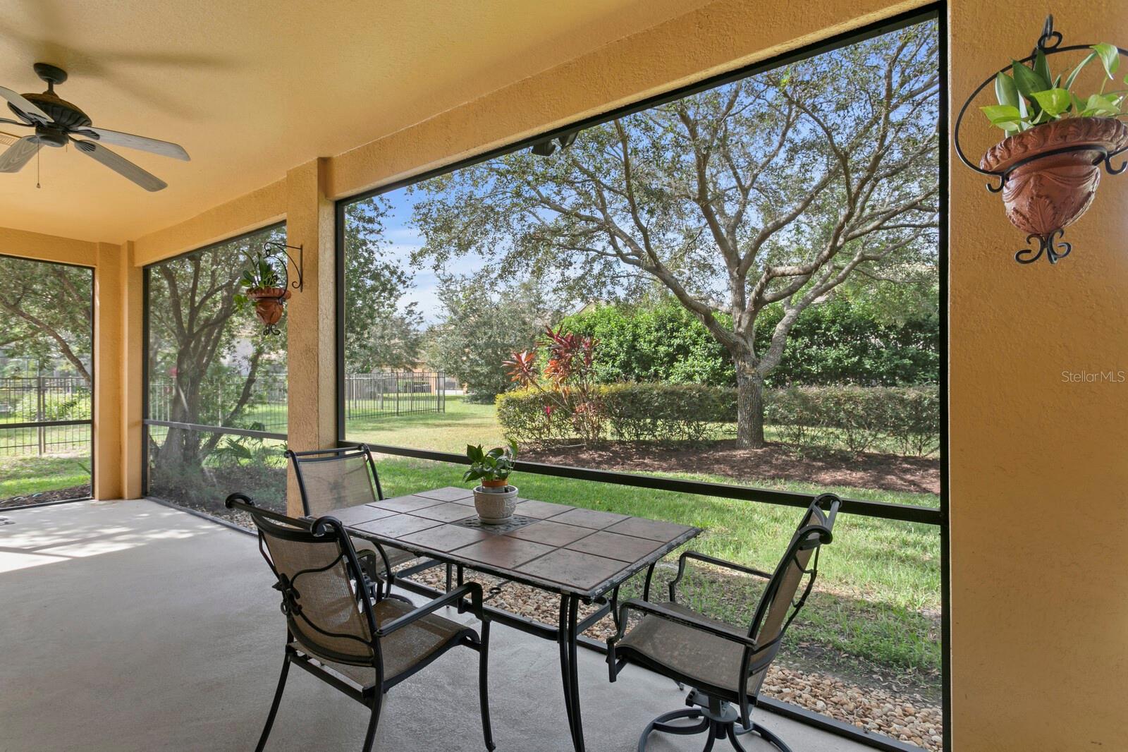 20352 CHESTNUT GROVE DR