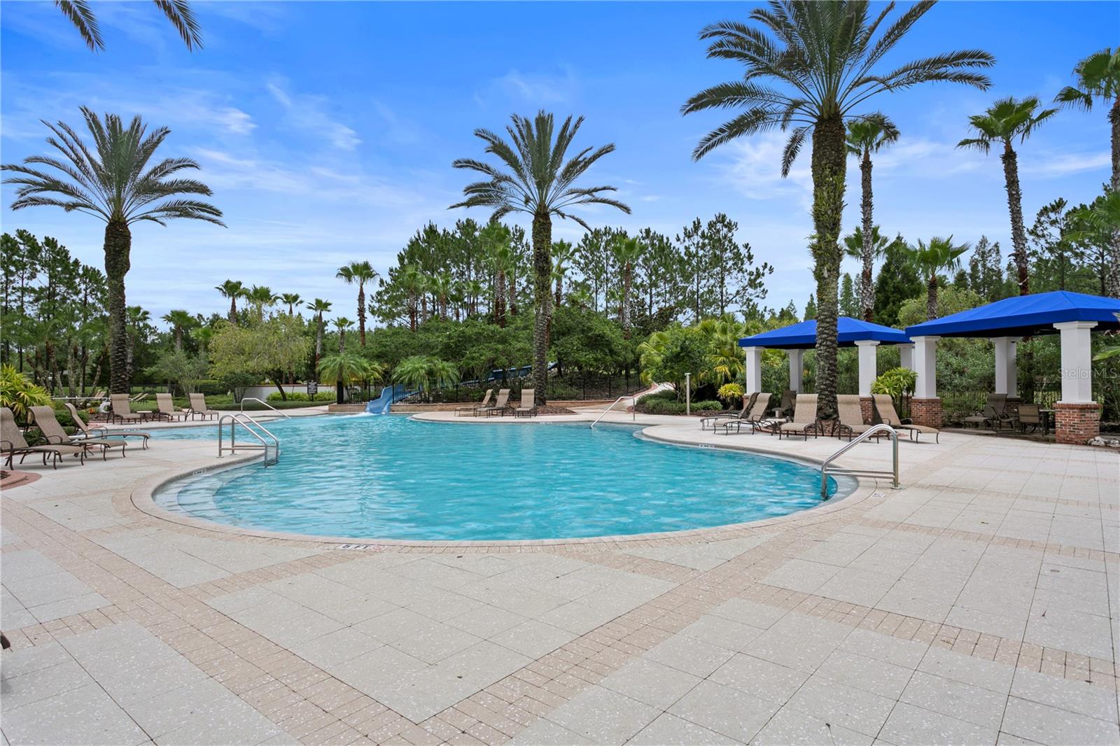 20352 CHESTNUT GROVE DR