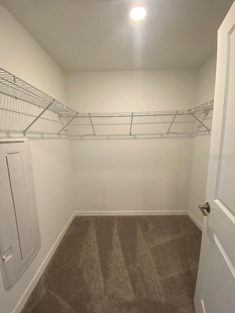 32101 POWDERPUFF MIMOSA DR