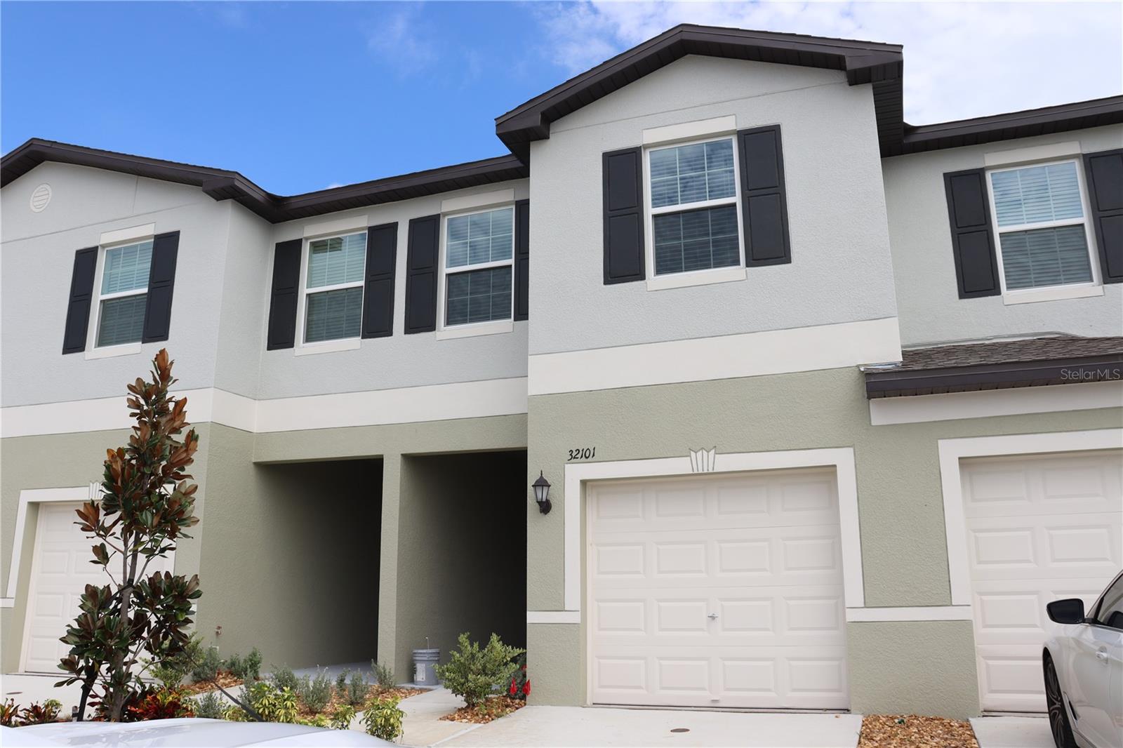 32101 POWDERPUFF MIMOSA DR