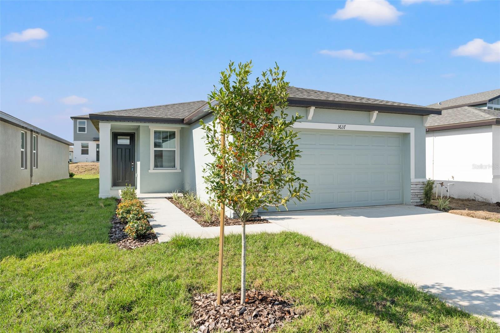 3637 MOSCATO DR