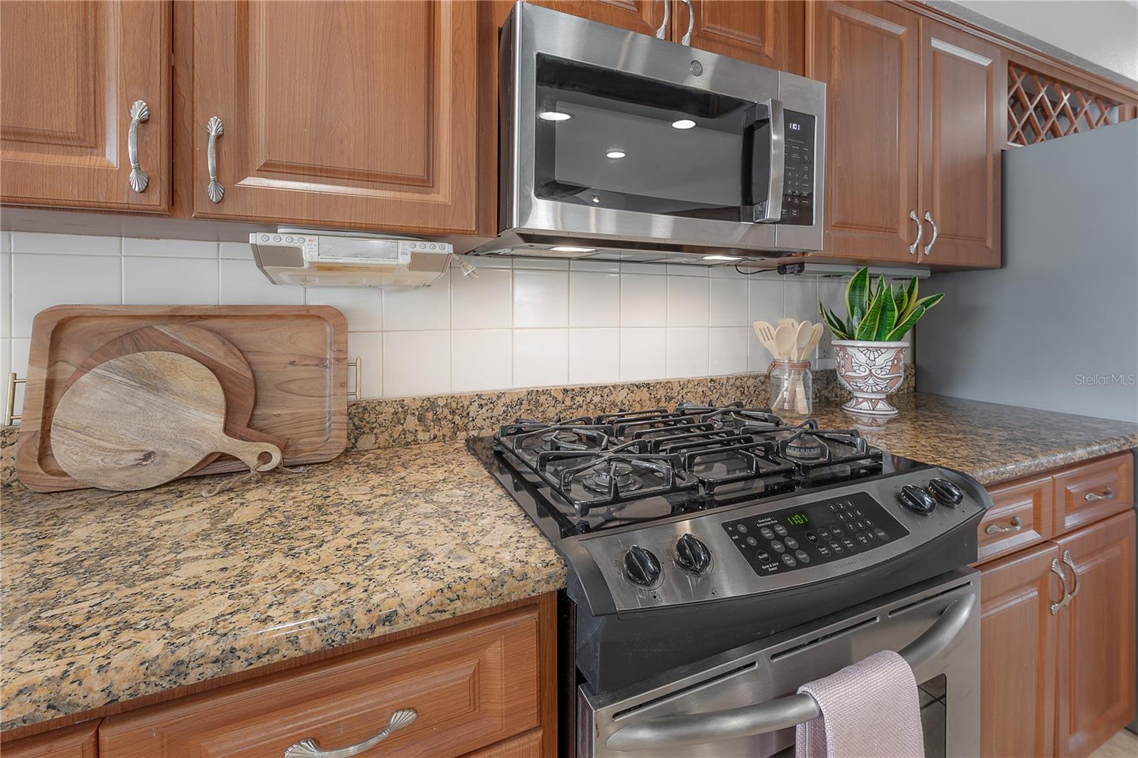 13906 CAPTAINS REEF CT