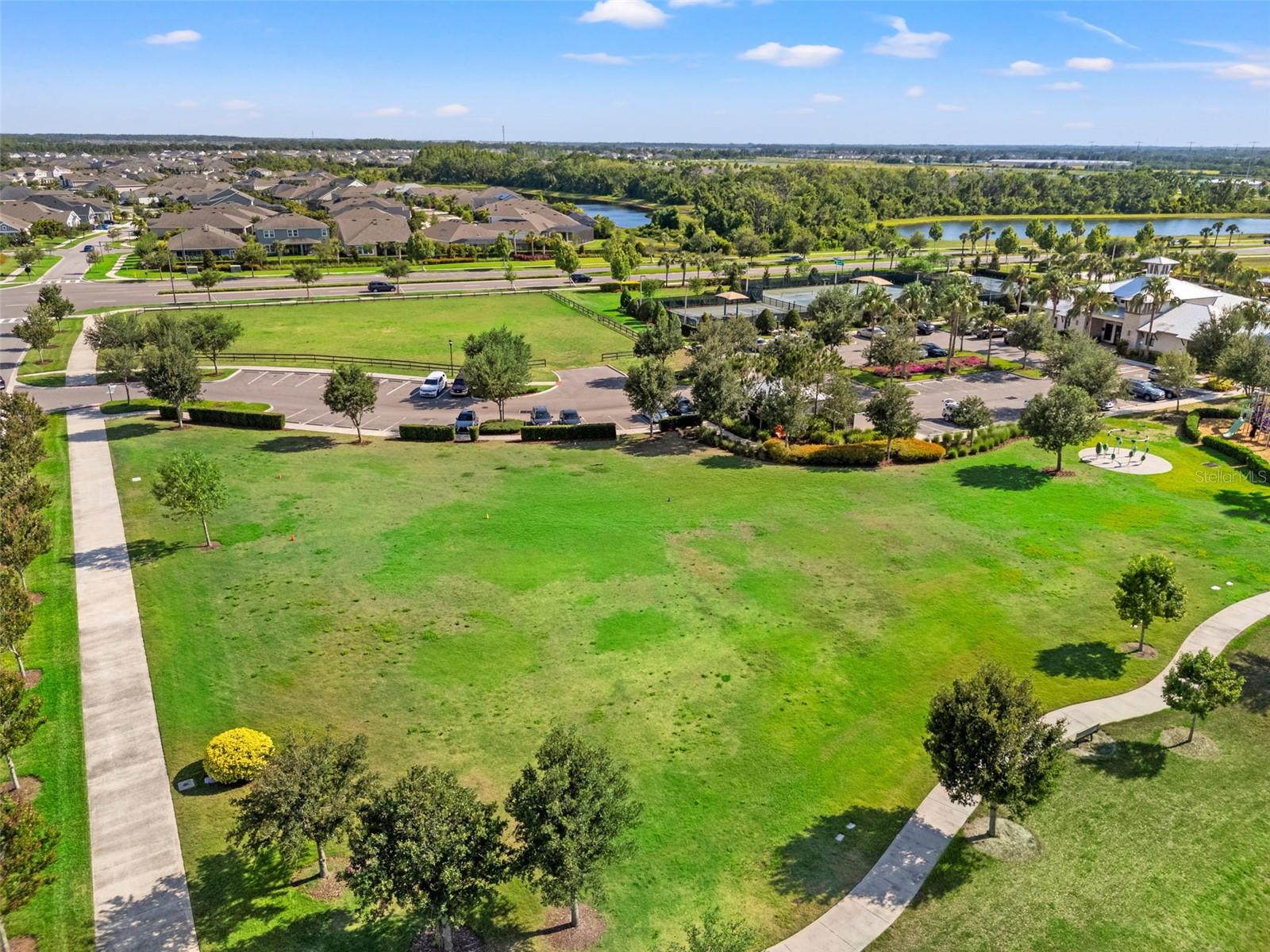 6123 GOLDEN NETTLE DR