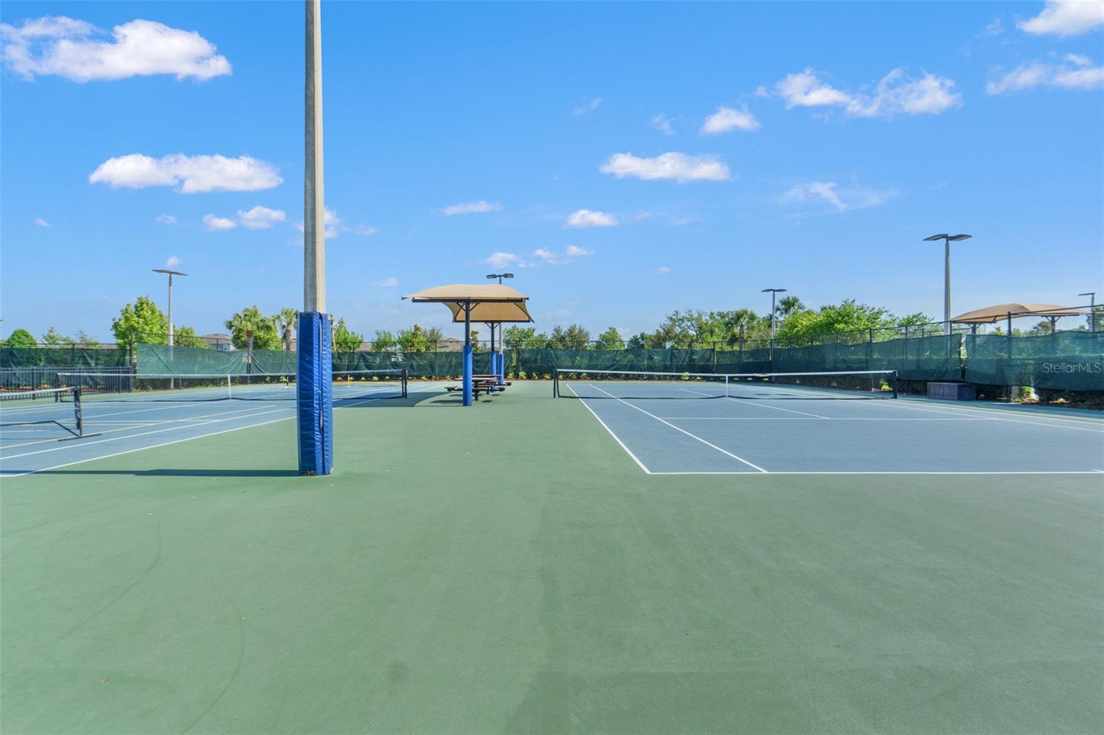 6123 GOLDEN NETTLE DR