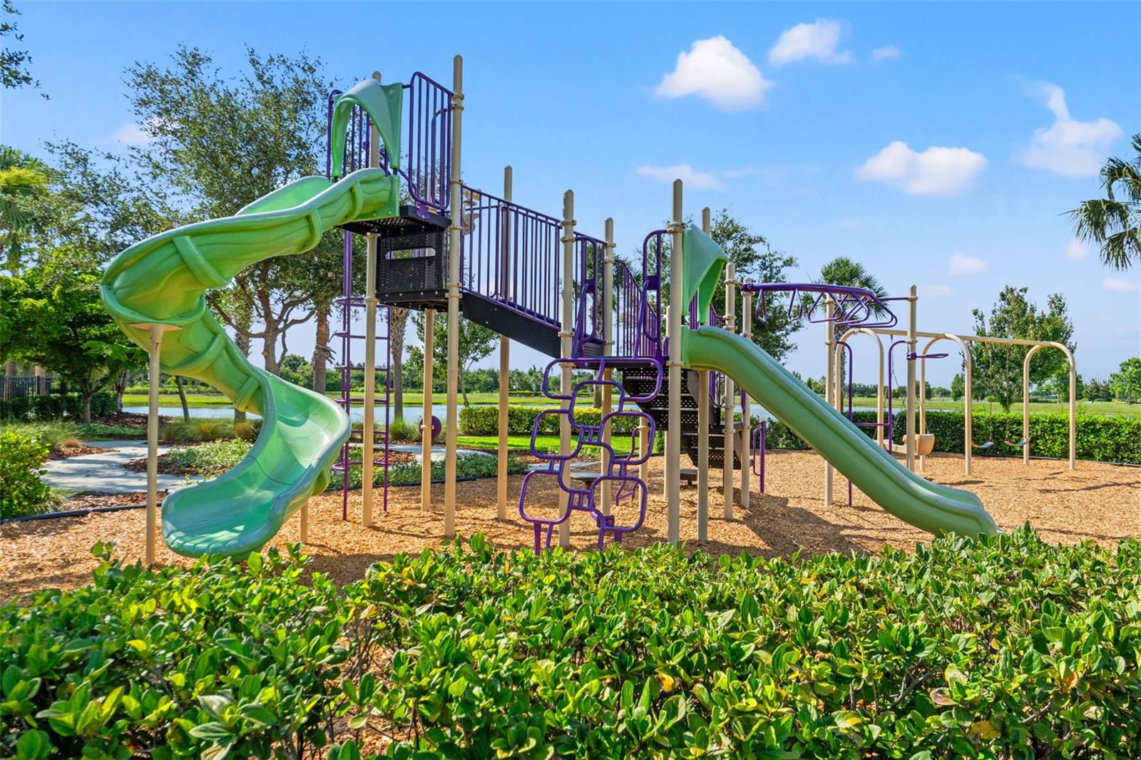 6123 GOLDEN NETTLE DR