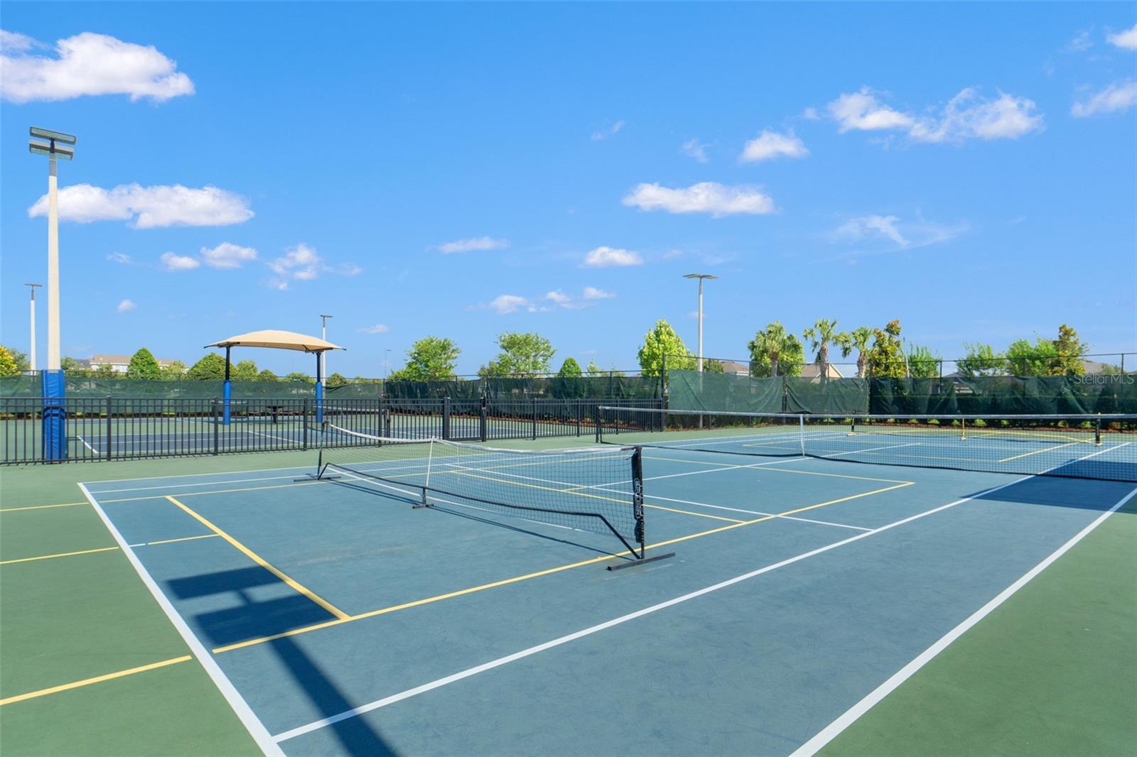 6123 GOLDEN NETTLE DR