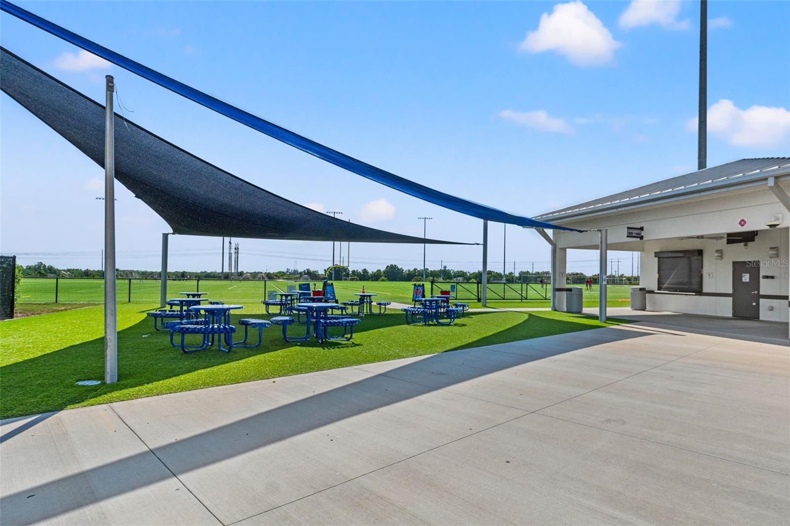 6123 GOLDEN NETTLE DR