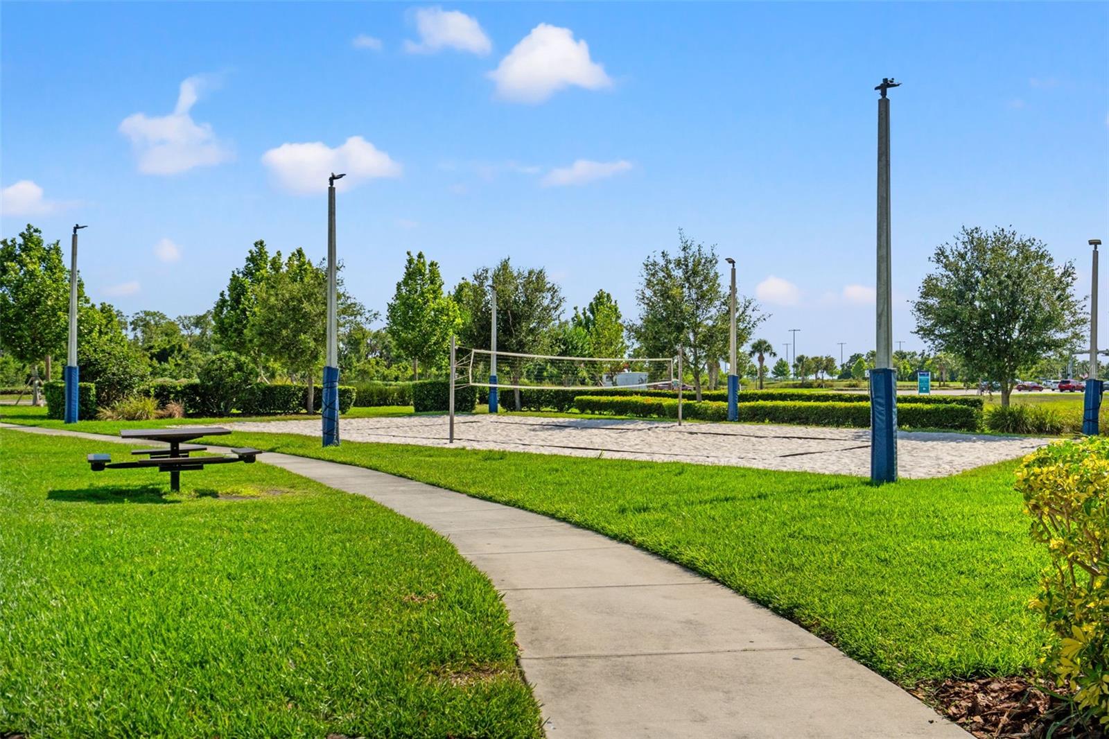 6123 GOLDEN NETTLE DR