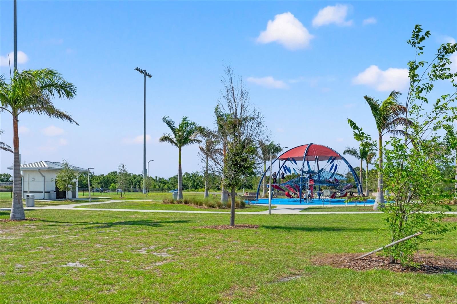 6123 GOLDEN NETTLE DR