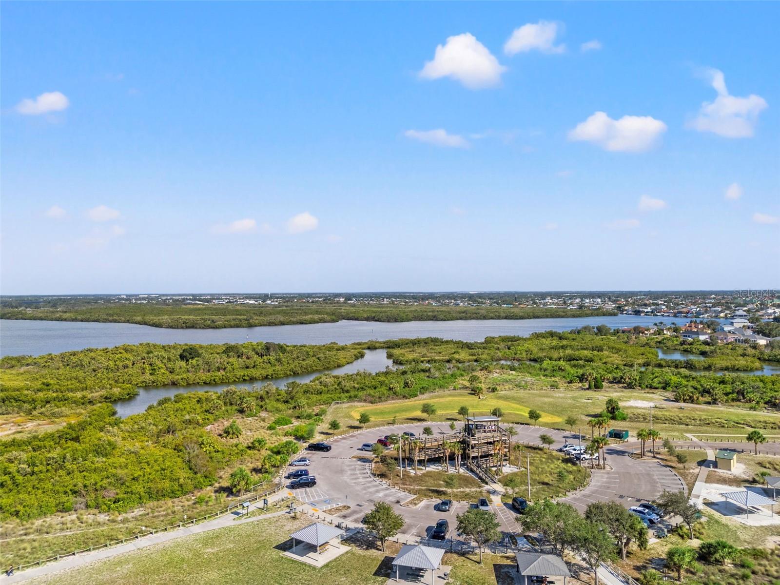 6123 GOLDEN NETTLE DR