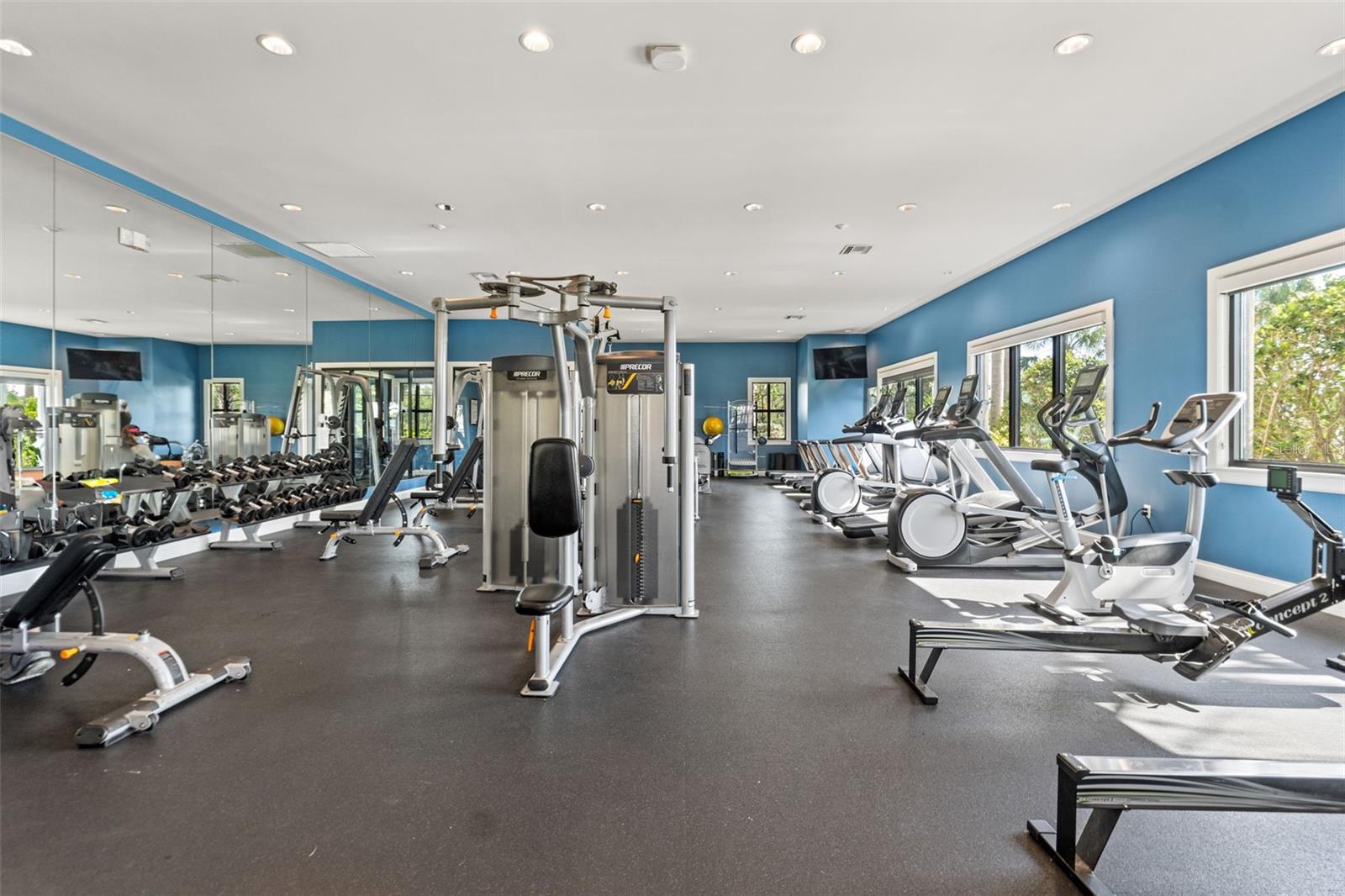 6123 GOLDEN NETTLE DR