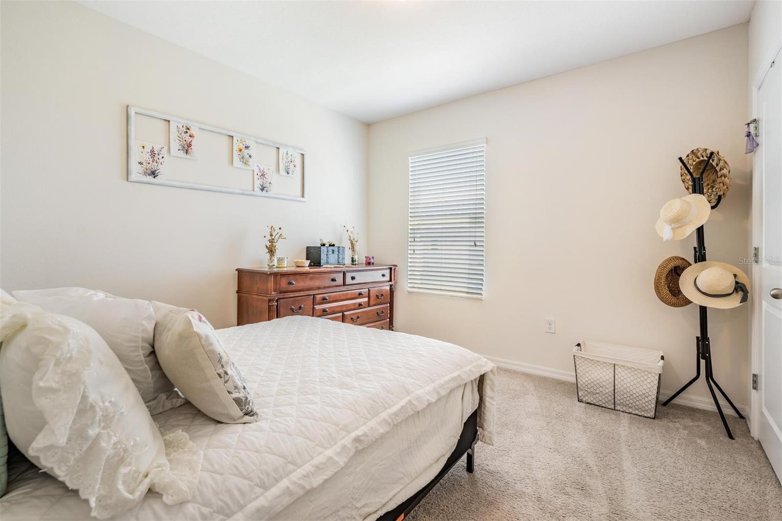 30989 SUMMER SUN LOOP