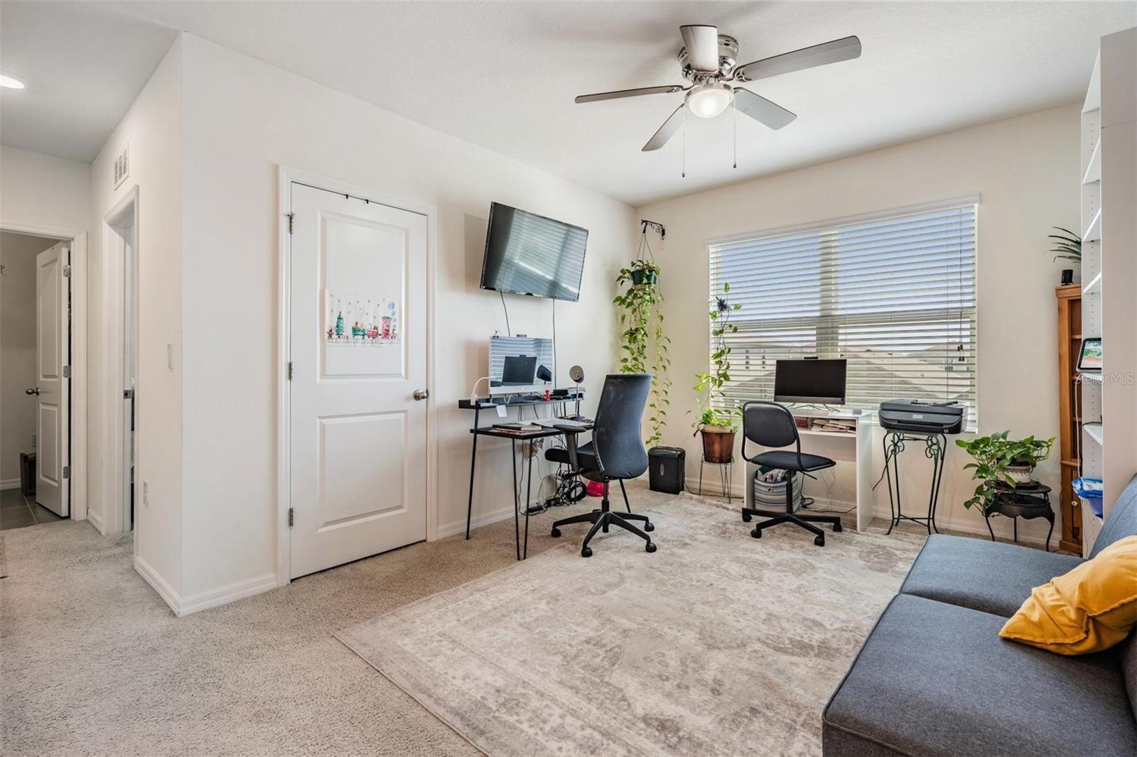 30989 SUMMER SUN LOOP