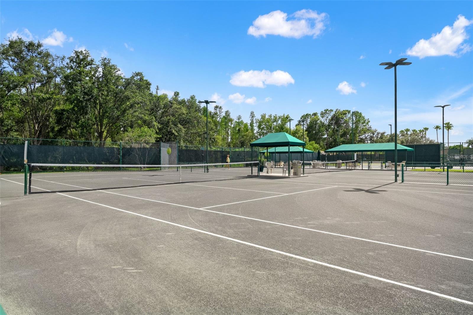 10208 THICKET POINT WAY