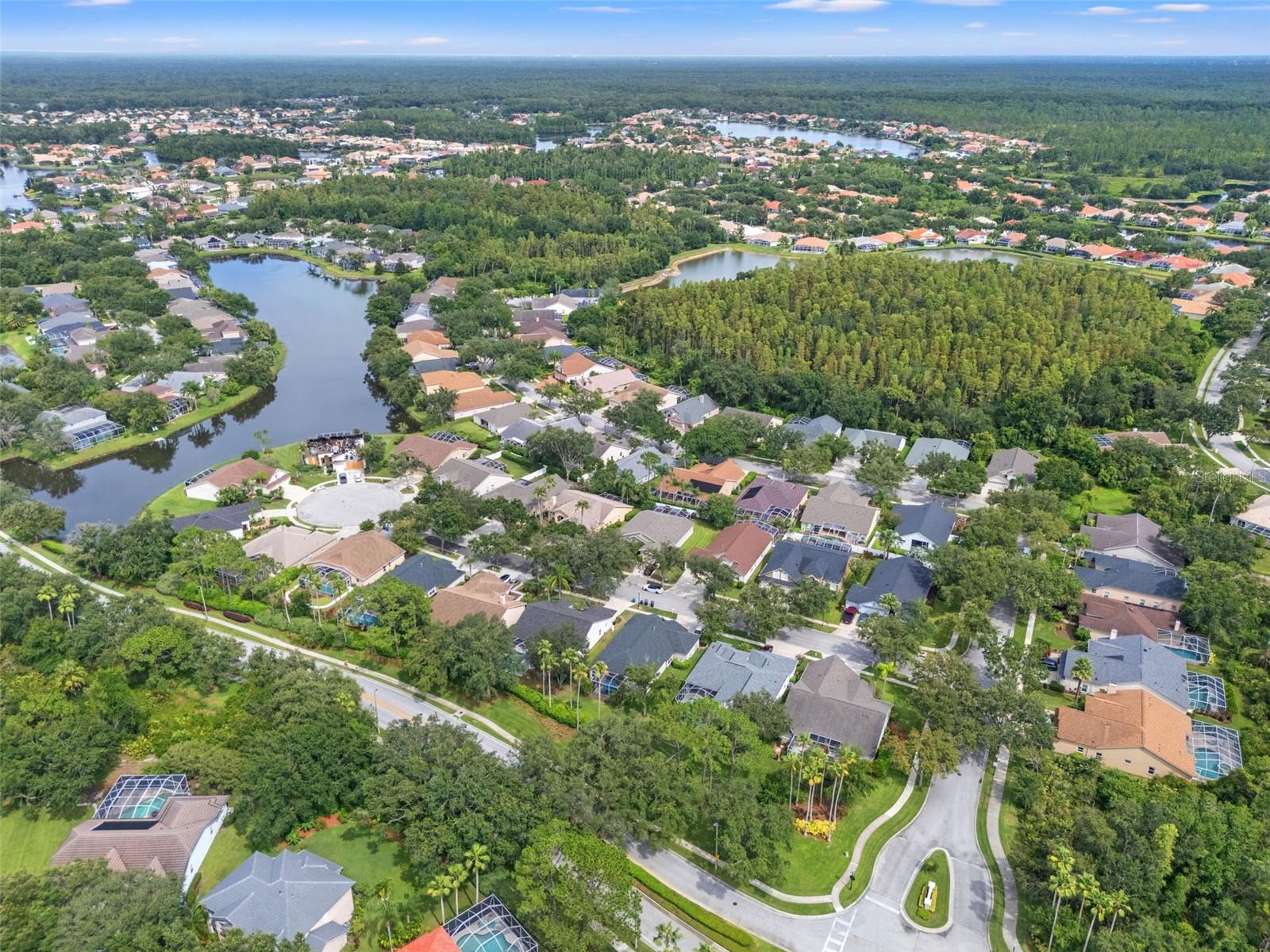 10208 THICKET POINT WAY