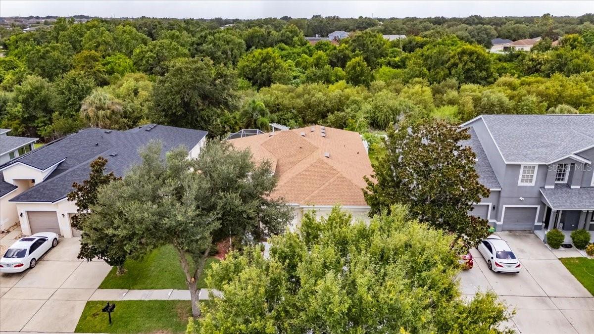 11414 BRIDGE PINE DR