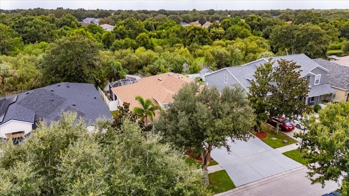 11414 BRIDGE PINE DR