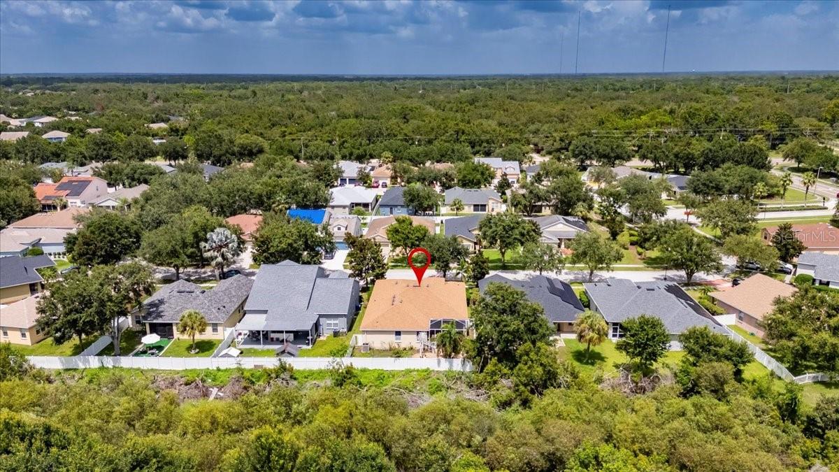 11414 BRIDGE PINE DR