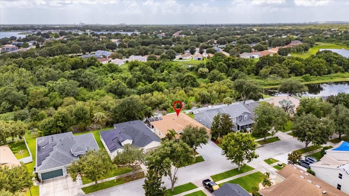 11414 BRIDGE PINE DR