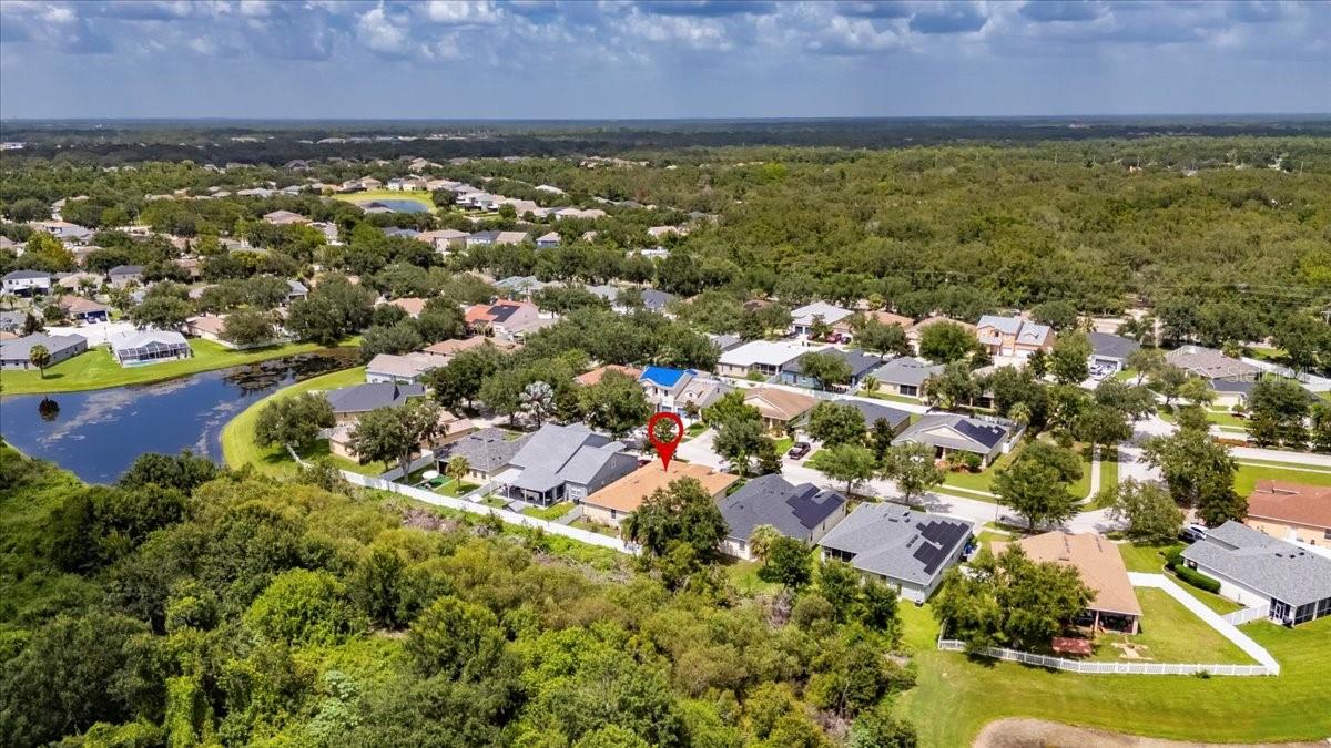 11414 BRIDGE PINE DR