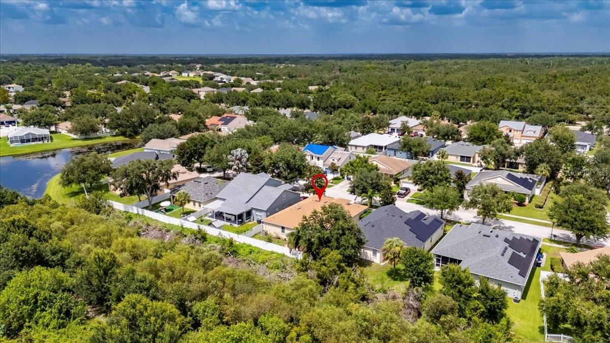 11414 BRIDGE PINE DR