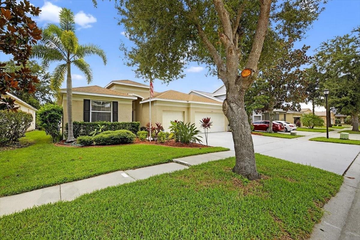11414 BRIDGE PINE DR