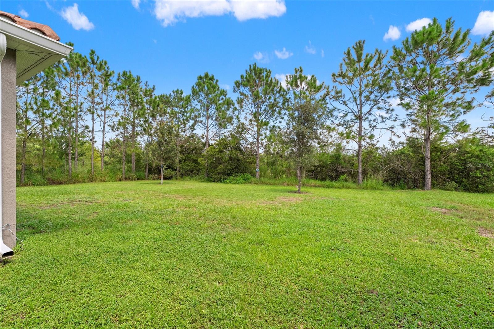 32924 ESTATE GARDEN DR