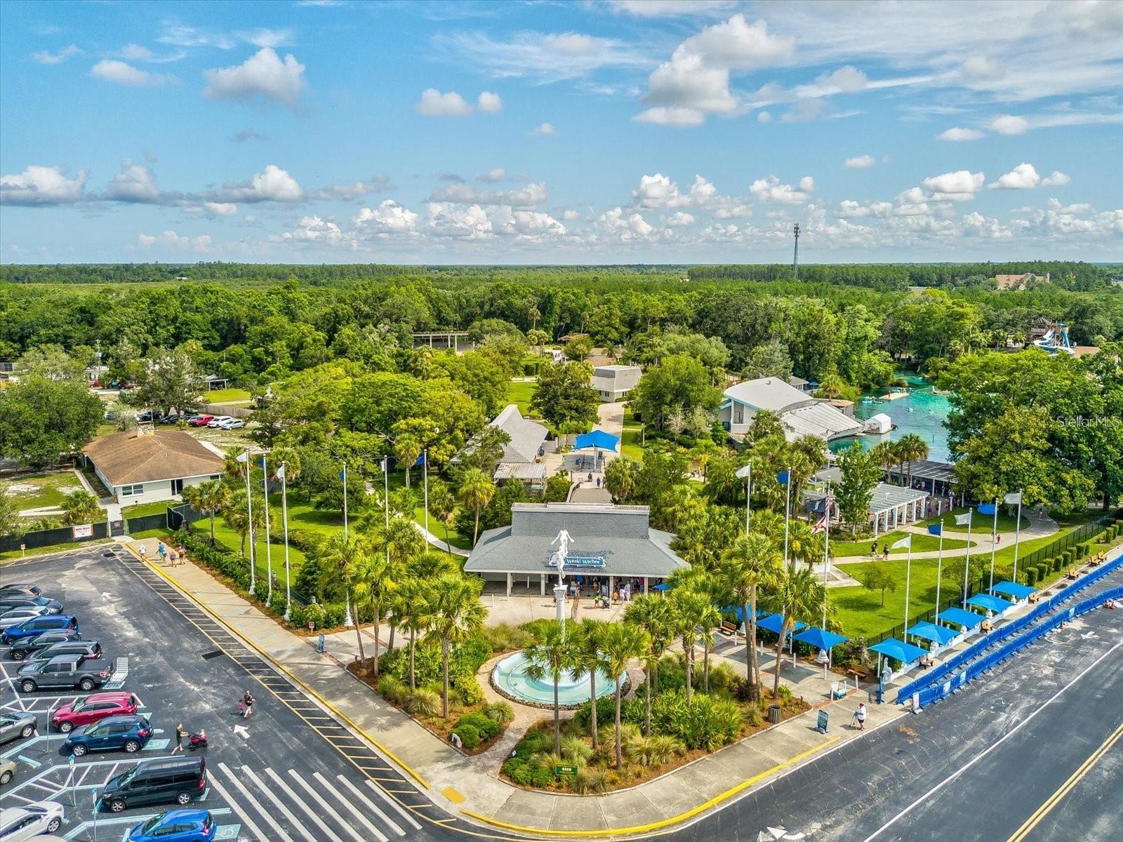 3447 PALOMETA DR