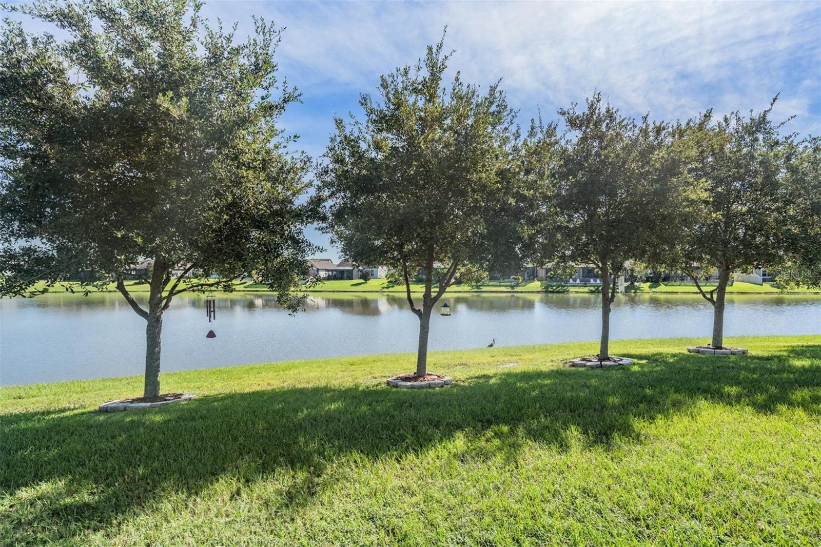 31558 TANSY BEND