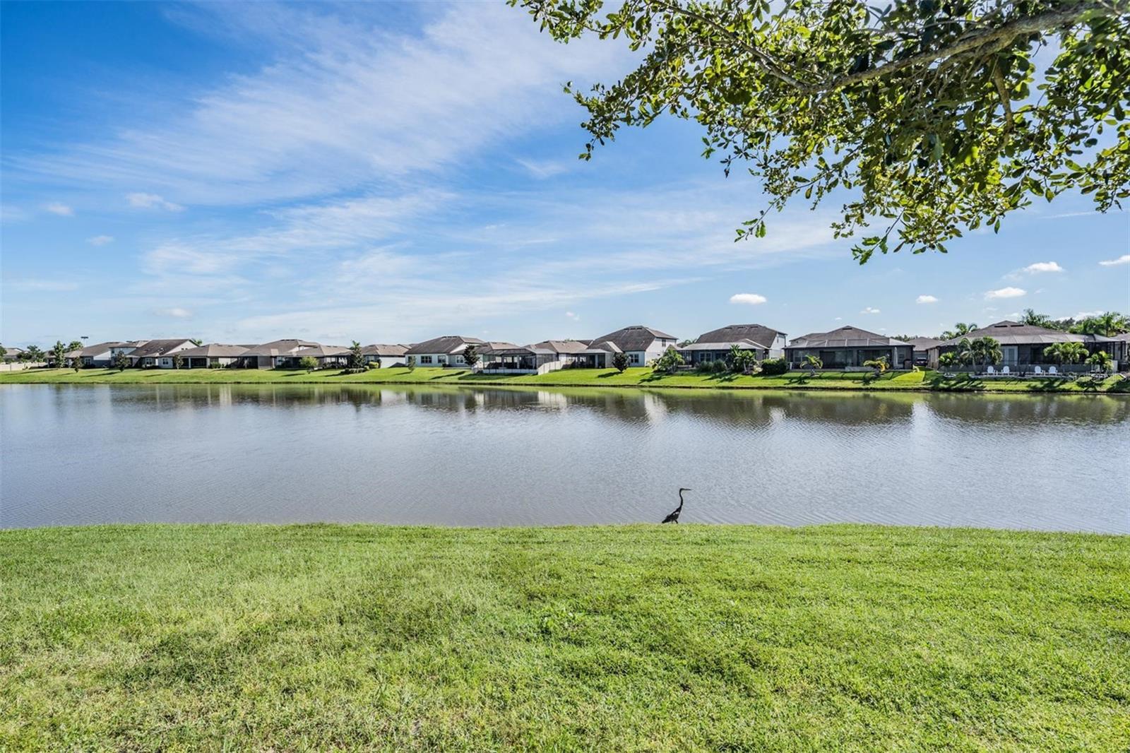31558 TANSY BEND