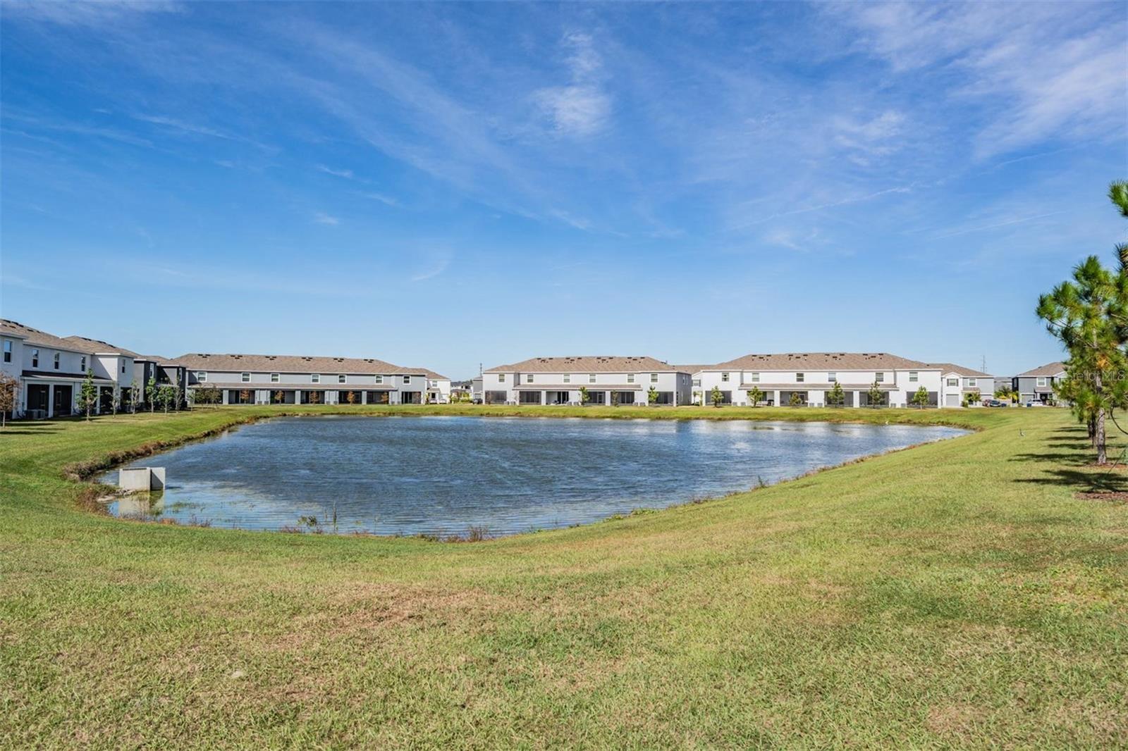 32524 TURTLE GRACE LOOP