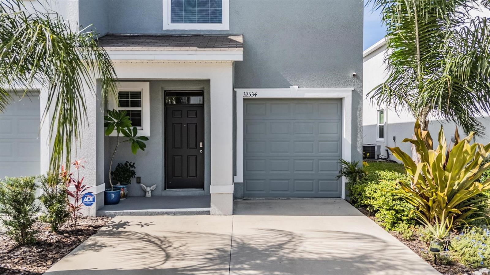 32524 TURTLE GRACE LOOP