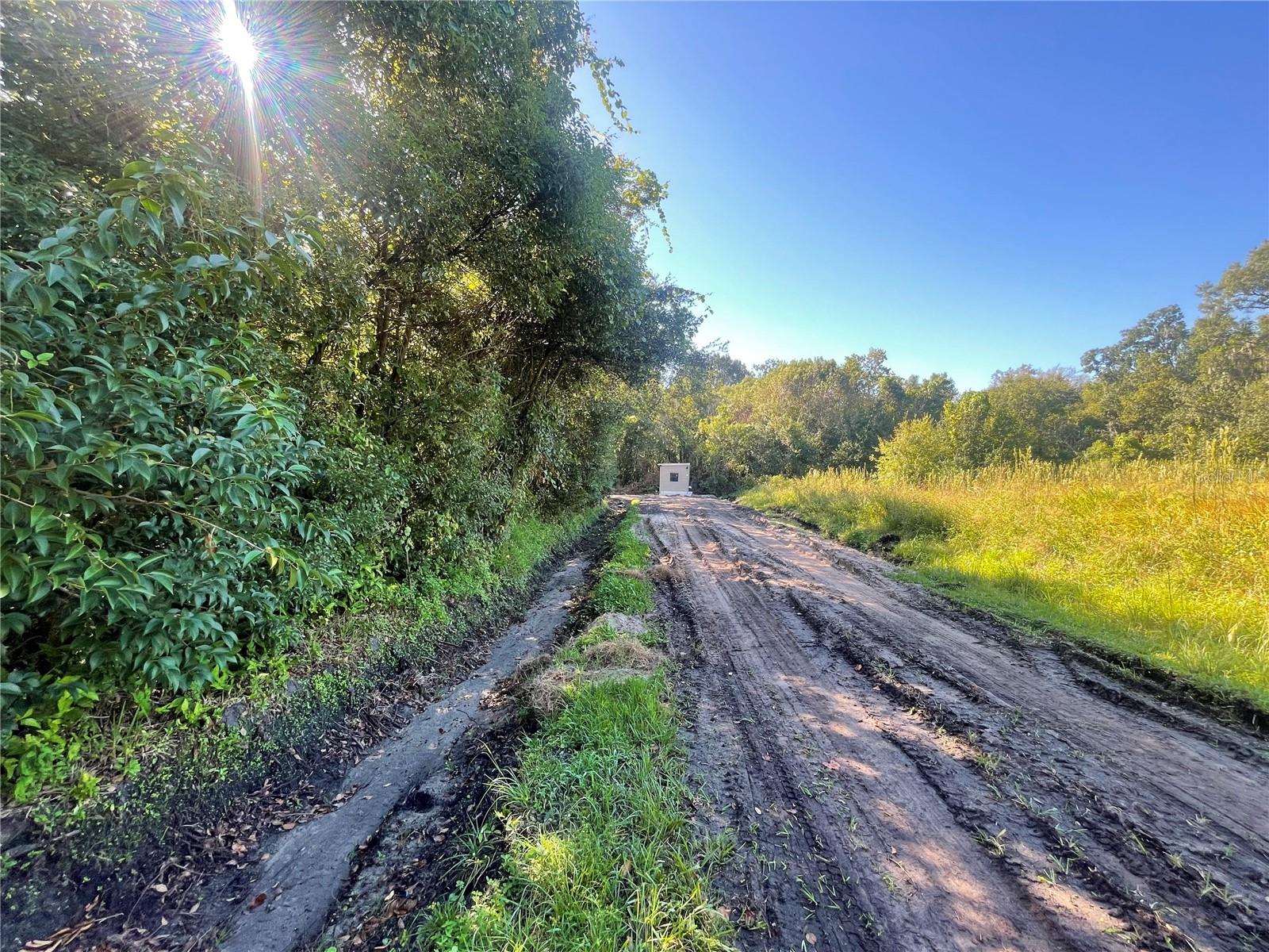PEVETTY DRIVE