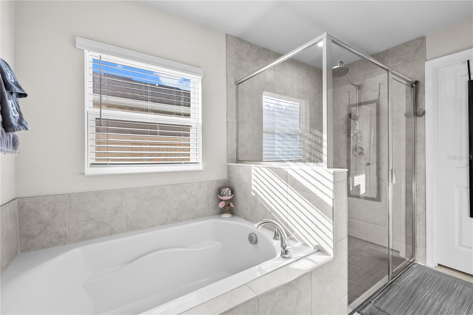 18446 HUNTERS MEADOW WALK