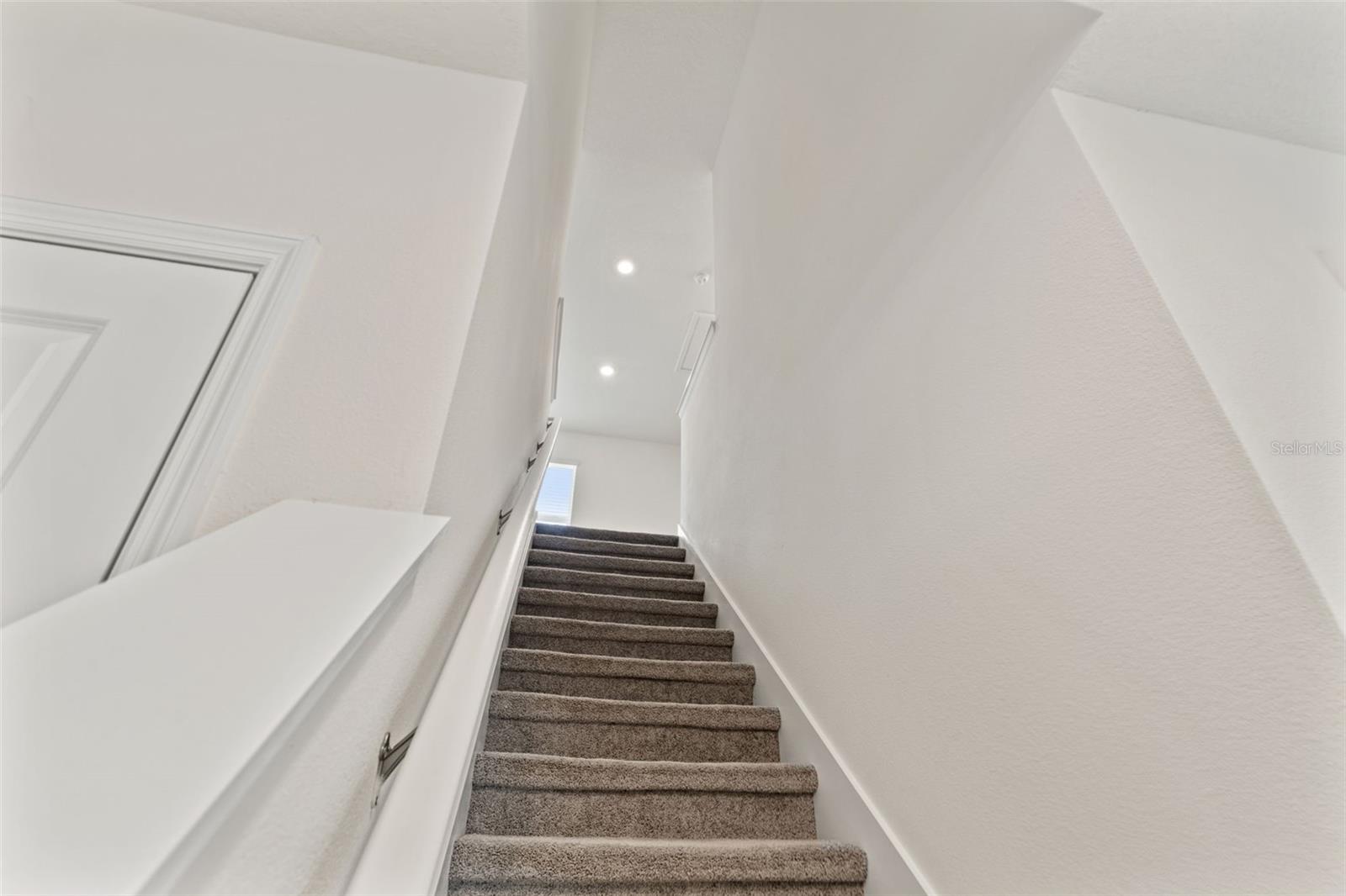 30753 PENNY SURF LOOP