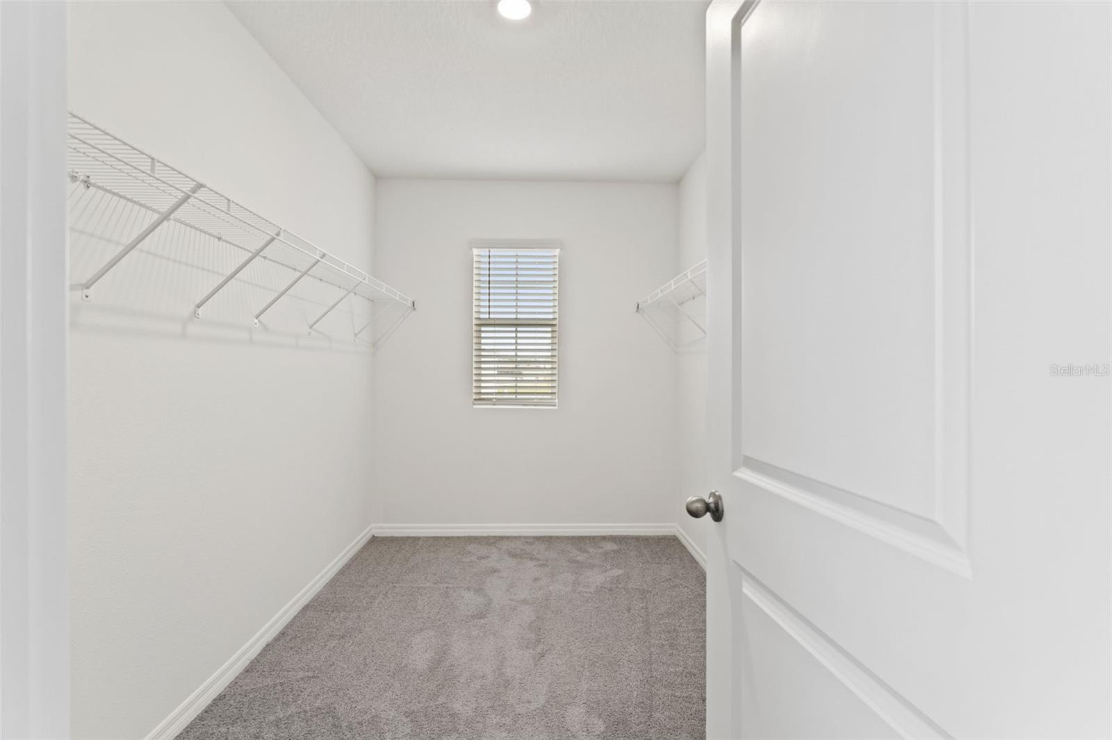 30753 PENNY SURF LOOP