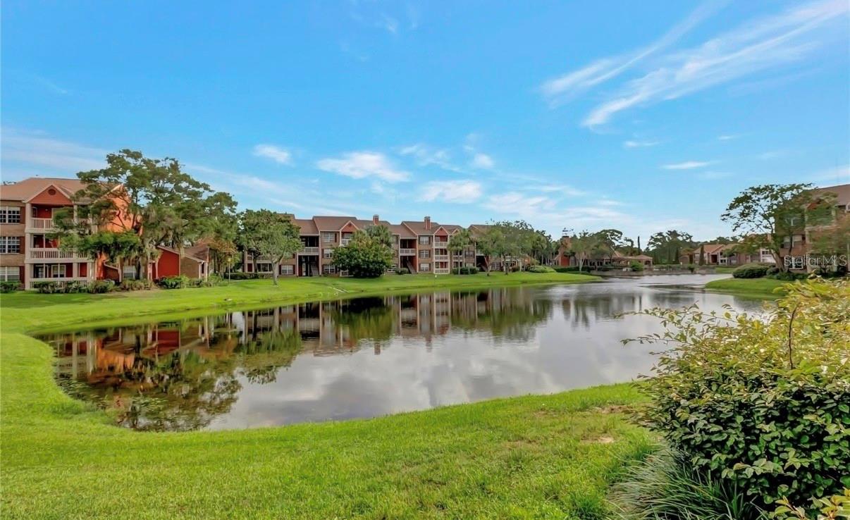 10200 GANDY BLVD N #816