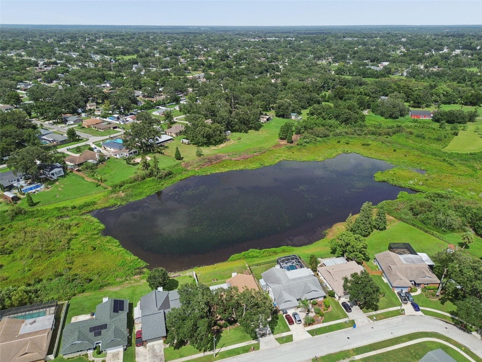 653 TIMBER POND DR