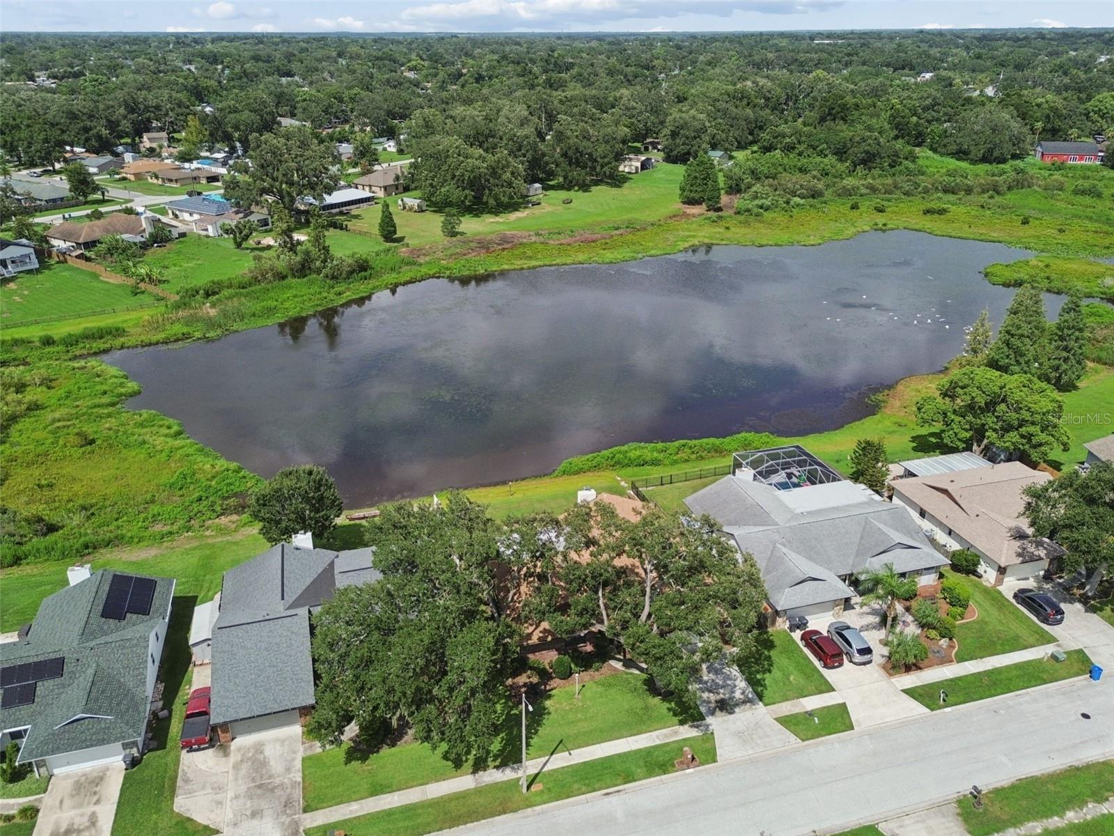 653 TIMBER POND DR