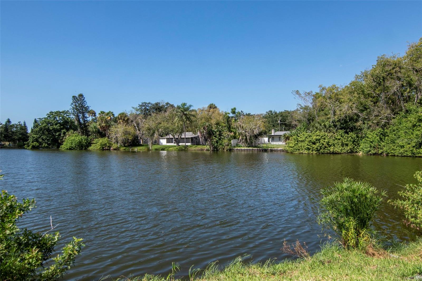 4539 NEEDLE PALM DR