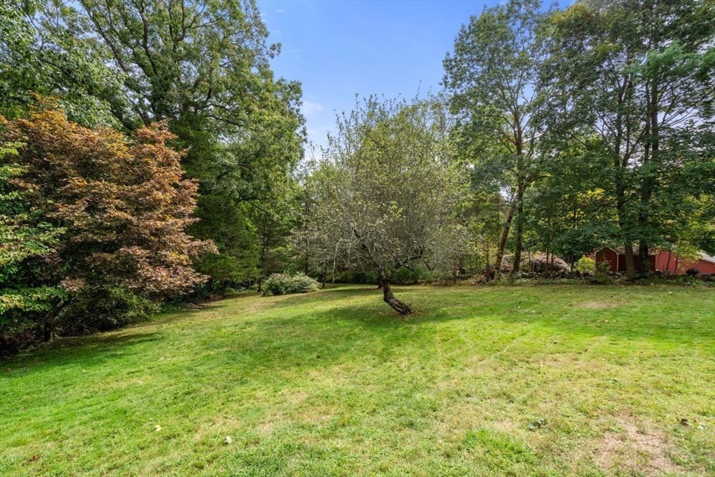 53 Drabbington Way