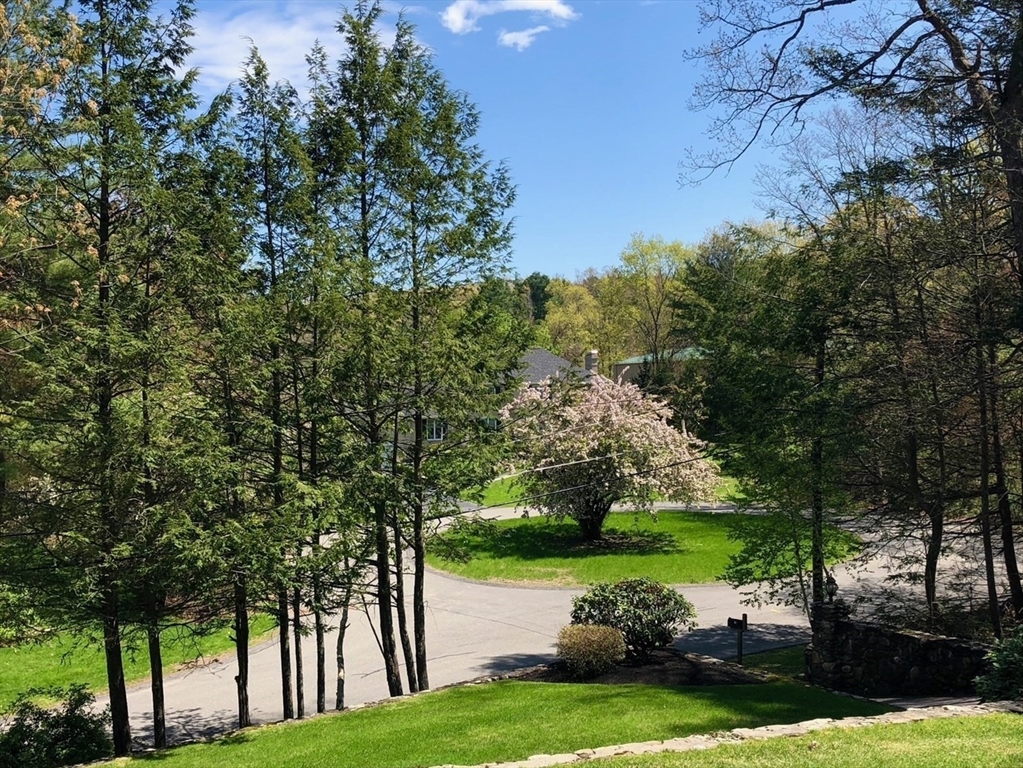 55 Forest Ridge Road