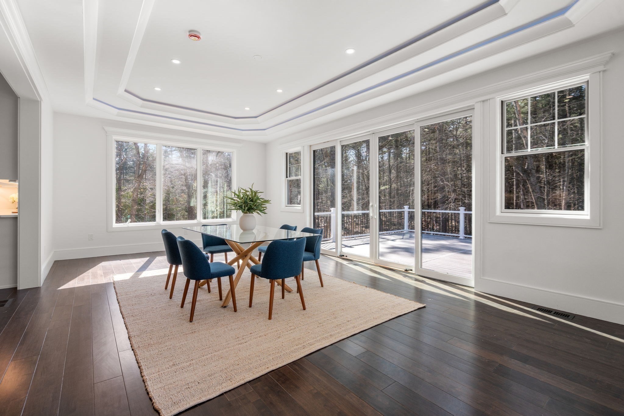 51 Plympton Rd