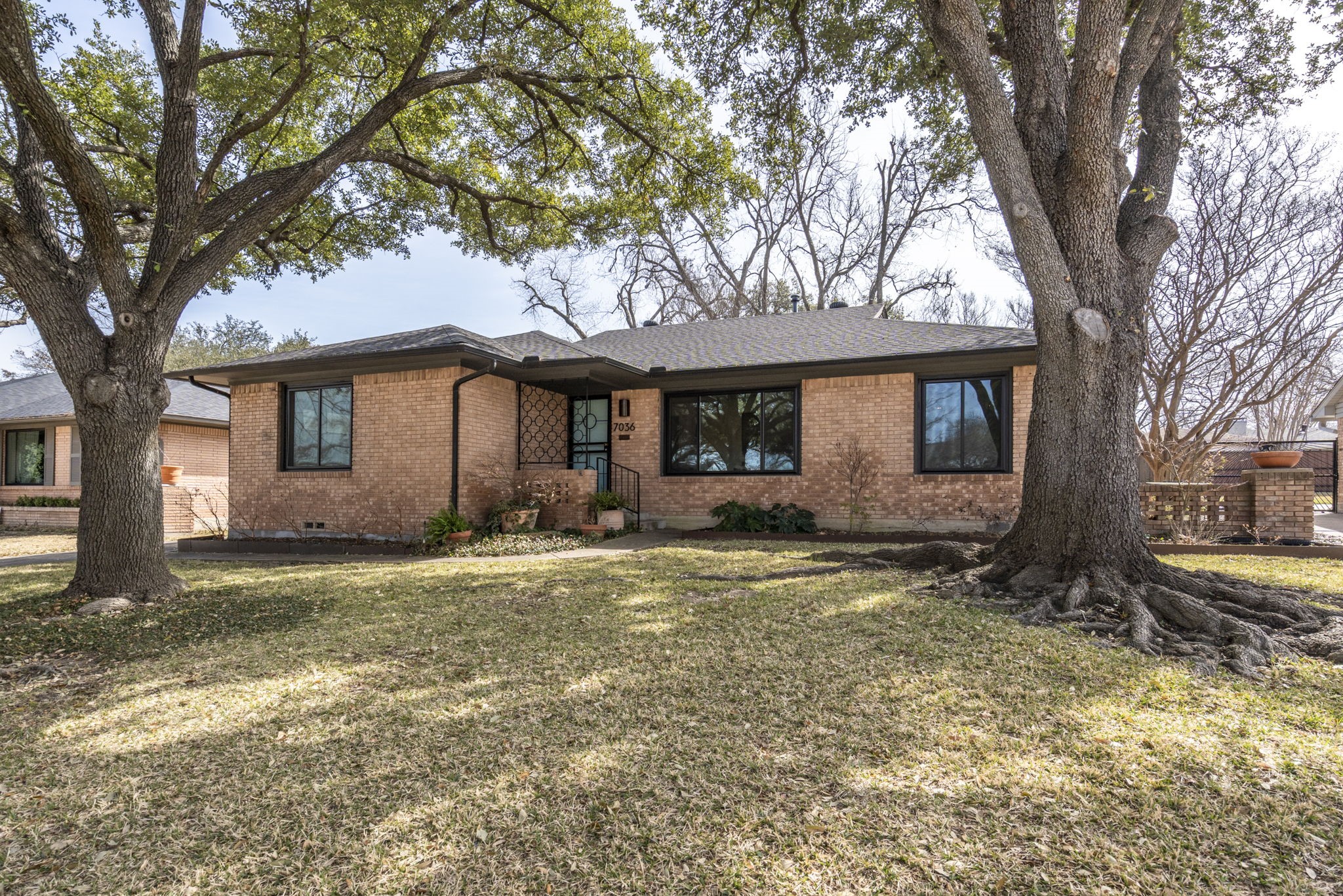 7036 Freemont Street