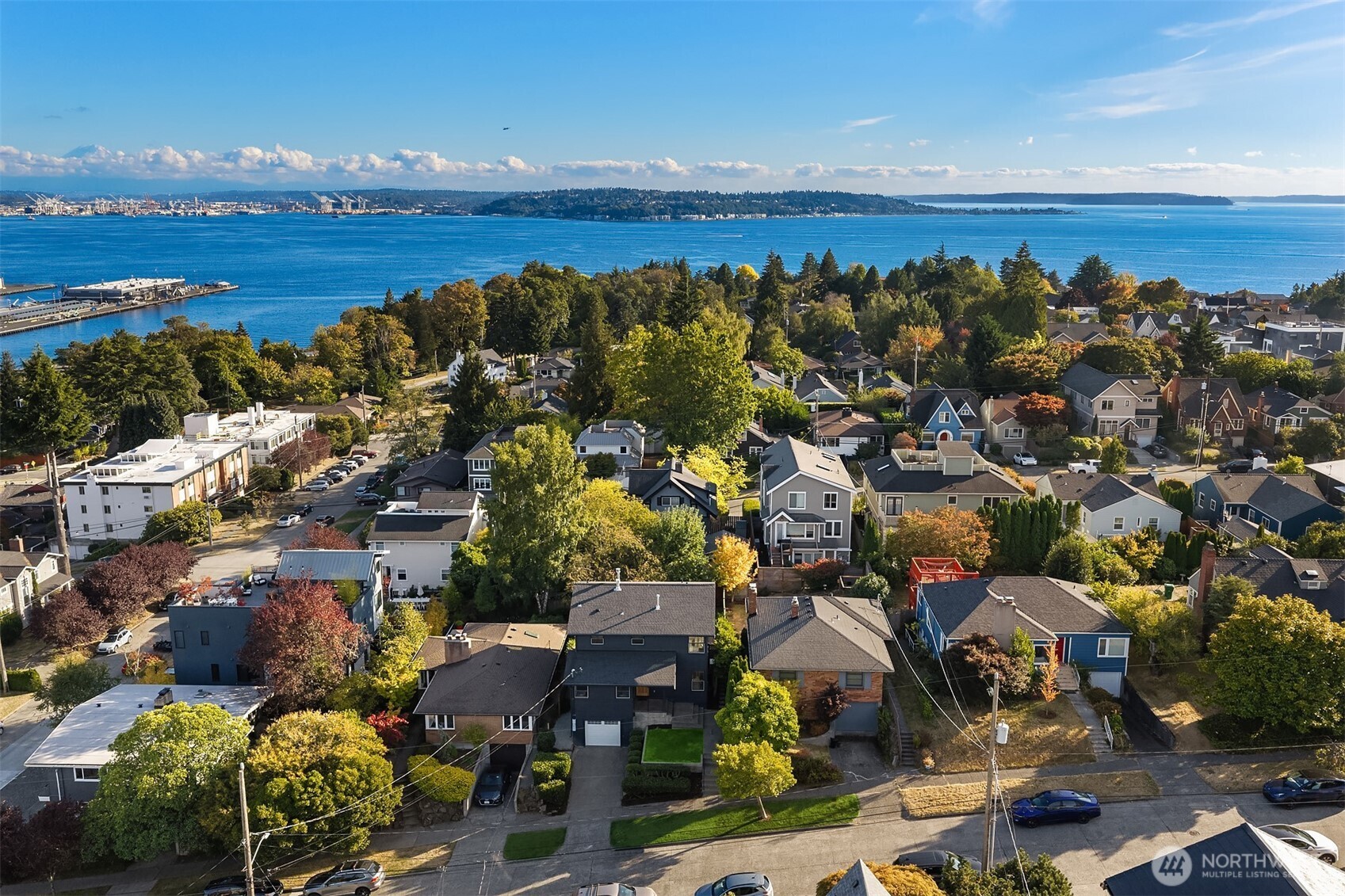 Aerial view of a leafy residential neighborhood overlooking blue water and a distant shoreline.